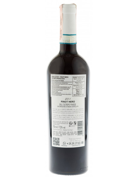 Купить Купить Вино Gentleman Pinot Nero DOC красное сухое Ferro13