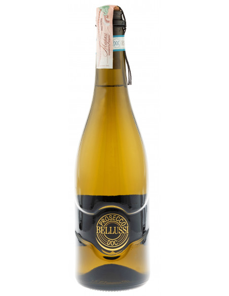 Купить Купить Вино игристое Prosecco Legatura Spago DOC Frizz белое сухое