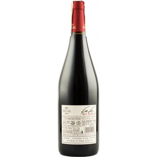 Купити Вино кошерне Segal Red червоне сухе 0,75л