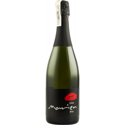 Купить Вино игристое Cava Marien Kiss белое брют 0,75л