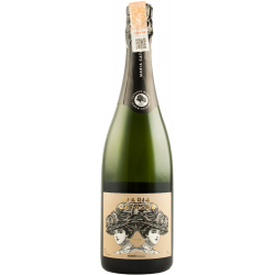 Купить Вино игристое Cava Maria Catasus белое брют 0,75л