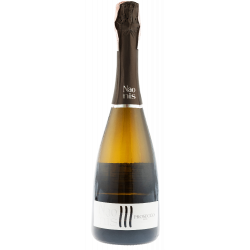Купить Вино игристое Prosecco DOC Spum белое экстра сухое 0,75л Naonis