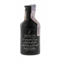 Купить Ликер Merlyn 0,05 л Five