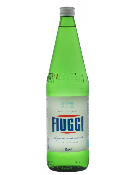 Купить Минеральная вода не газированная Fiuggi Naturale 0.75л
