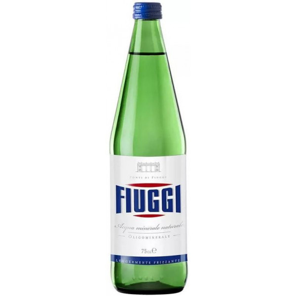 Купить Купить Минеральная вода газ Fiuggi Naturale 0,75л стекло