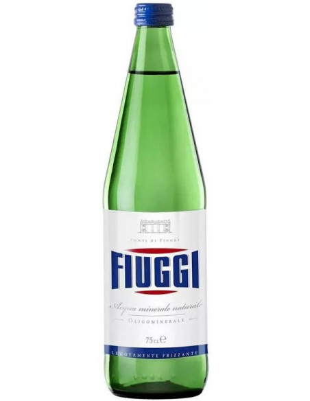 Купить Купить Минеральная вода газ Fiuggi Naturale 0,75л стекло