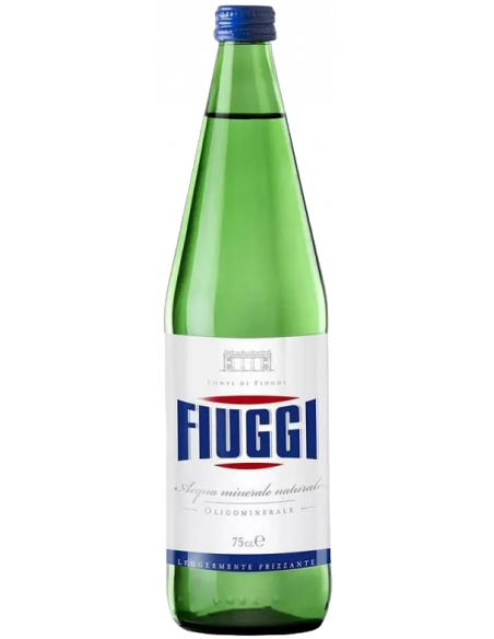 Купить Минеральная вода газ Fiuggi Naturale 0,75л стекло