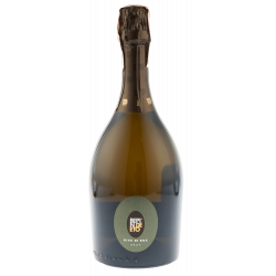 Купить Вино игристое Prosecco Rive di Rua Sup.DOCG белое брют Bepin De Eto