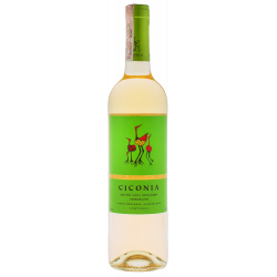 Купить Вино Ciconia IGP белое сухое