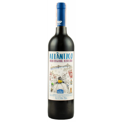 Купить Вино Eletrico IGP красное сухое