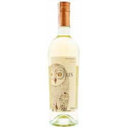 Купить Вино Asio Otus белое сухое