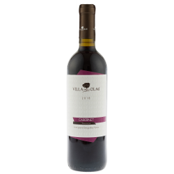 Купить Вино Cabernet IGT красное сухое Villa degli Olmi