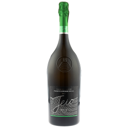 Купить Вино игристое Prosecco Sup DOCG Spum Crede белое брют 1,5л Bisol