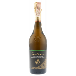 Купить Вино игристое Prosecco Sup DOCG Spum Cartizze белое сухое Bisol