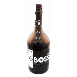 Купить Вино игристое Prosecco Mill DOC The Boss белое экстра сухое 1,5л Ferro13