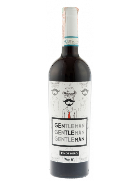 Купить Вино Gentleman Pinot Nero DOC красное сухое Ferro13