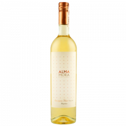 Купить Вино Sauvignon Blanc Alma Mora белое сухое