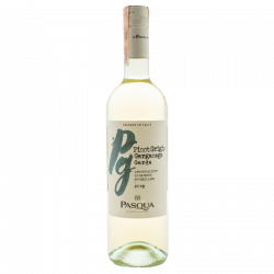 Купить Вино Pinot Grigio – Garganega IGT белое  сухое Pasqua 