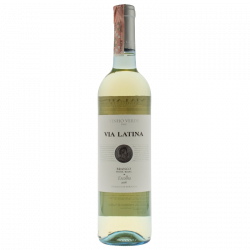 Купить Зеленое вино VINHO VERDE VIA LATINA белое полусухое