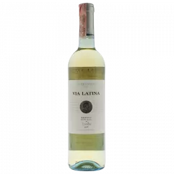 Купить Зеленое вино VINHO VERDE VIA LATINA белое полусухое