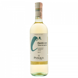 Купить Купить Вино Chardonnay Venezie IGT Pasqua белое сухое