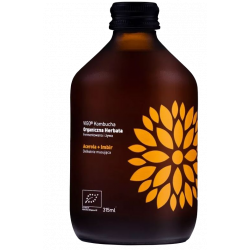 Купить Купить Комбуча с ацерола и имбирем Vigo Acerola+Ginger BIO 0,315л стекло