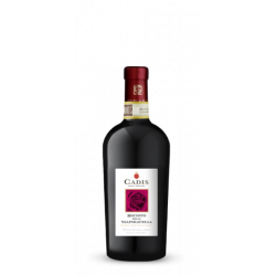 Купить Купить Вино Recioto della Valpolicella DOCG красное полусладкое 0,5л 12,5%