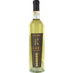 Купить Купить Вино Gavi DOCG Anfora белое сухое 0,75л 13%