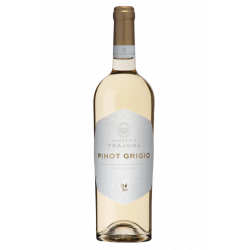 Купити Вино Pinot GrigioTerre Siciliane IGP біле сухе 0,75 л 12%