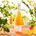 Купити Вино ігристе фруктове Sparkling Mango біле напівсолодке Beach Avenue
