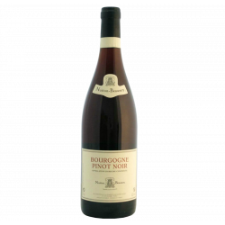 Купити Вино Pinot Noir Nuiton-Beaunoy червоне сухе 0,75 л 13%