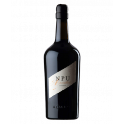 Купить Купить Херес N.P.U. Amontillado белое сухое 0,75л 19%