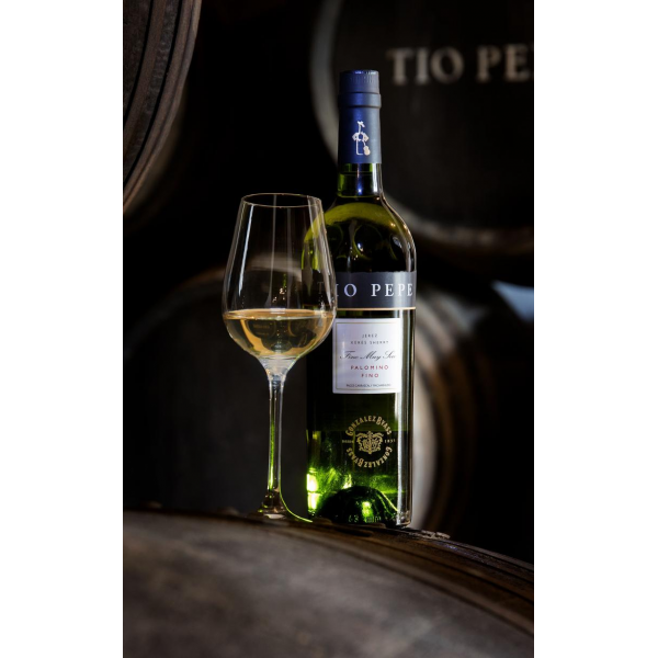 Купити Херес Tio Pepe Fino біле сухе 0,75 л 15%