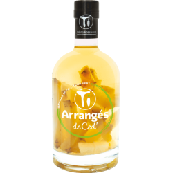 Купити Напій на основі рому TI Arrange Ananas coco citron vert 0,7л 32%