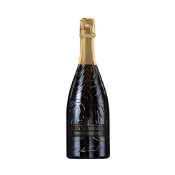Купить Вино игристое Prosecco DOC Treviso 1,5л бел, брют 11,5%