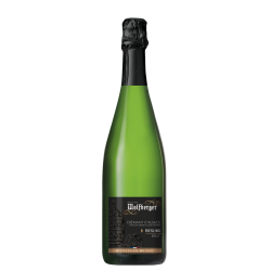 Купить Вино игристое Cremant D`Alsace Riesling AOC бел,брют 0,75л 12%