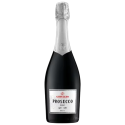 Купить Вино игристое Prosecco DOC Brut Edizione 0,75л бел, брют 11%