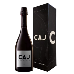 Купити Вино Ігристе Prosecco MillesimatoDOC 1,5л біл. экст/сух11,5%кор.Італія, Вальдобьядене, TM Caj