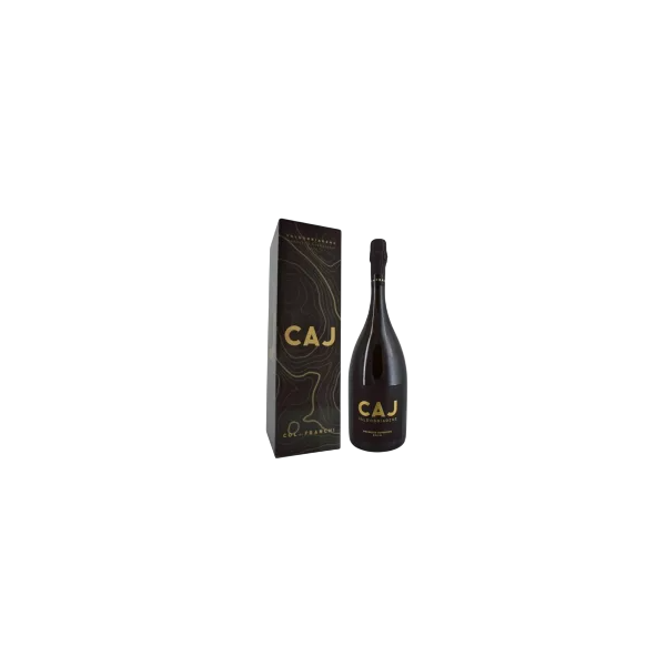 Купити Вино Ігристе Prosecco Sup. Millesimato DOCG 1,5л біл.брют11%кор.Італія, Вальдобьядене, TM Caj