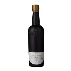 Купити Мускатель Moscatel De Setubal 20 anos 0,5л біл,сол, 17% под, кор,