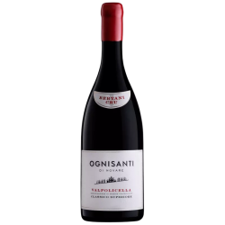 Купить Вино Ognistanti Valpolicella Cl, Sup, 0,75л крас, сух, 12,5%