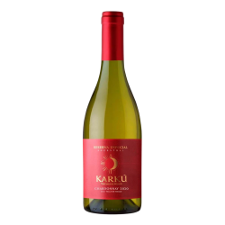 Купити Вино Chardonnay Reserva KARKU 2022 біл.сух 0,75л 13,5% Чілі, Д.Мауле, ТМ Karku